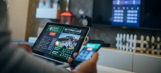 Descubra o Mundo das Apostas com 656bet 19